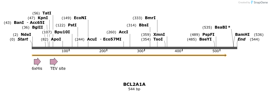 57232_map