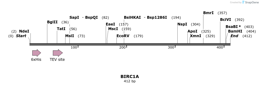 57233_map
