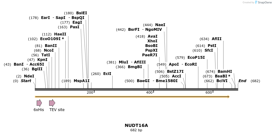 57237_map