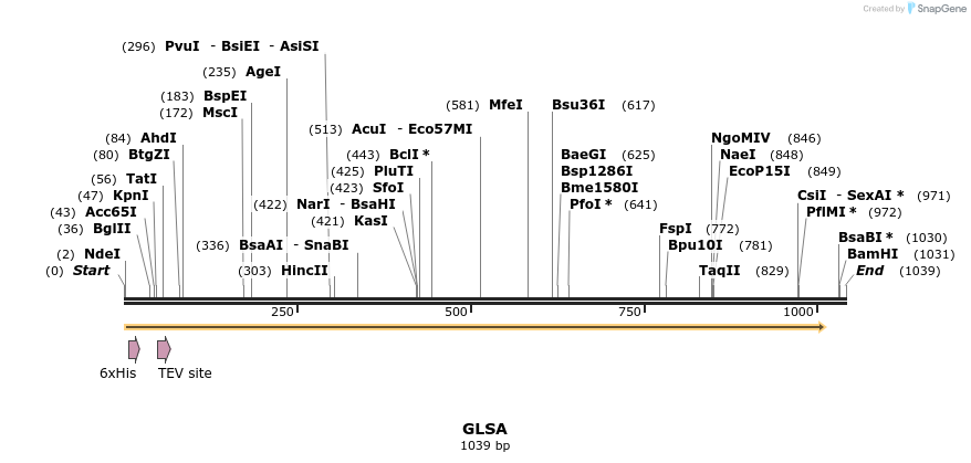 57238_map