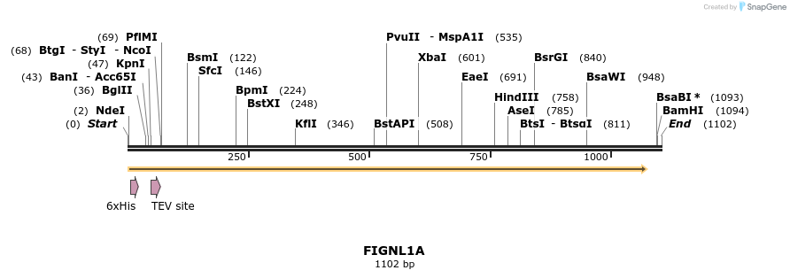 57240_map