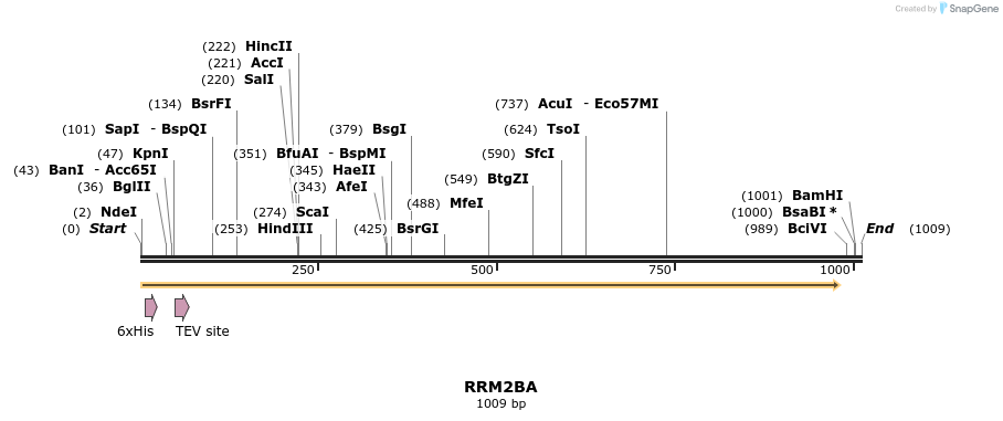 57241_map