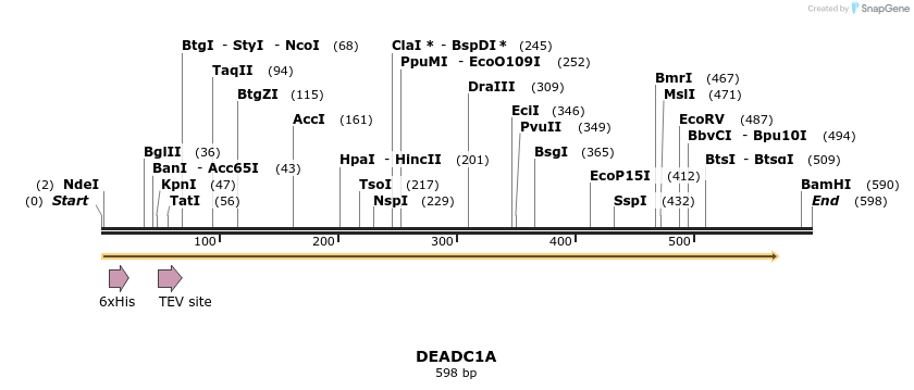 57242_map
