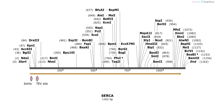57246_map