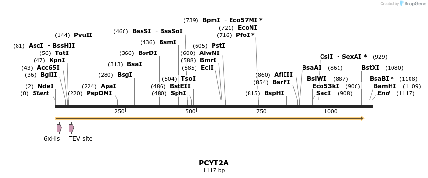 57248_map