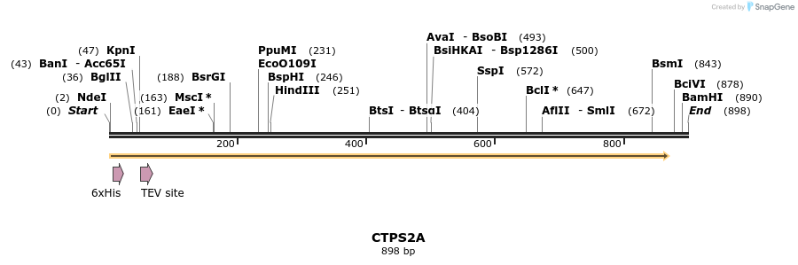 57249_map