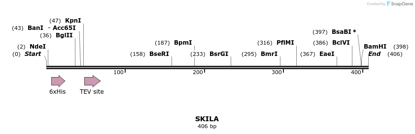 57250_map