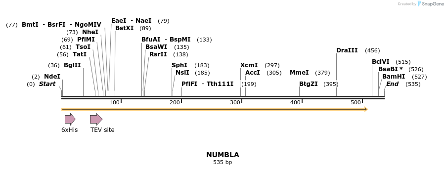 57252_map
