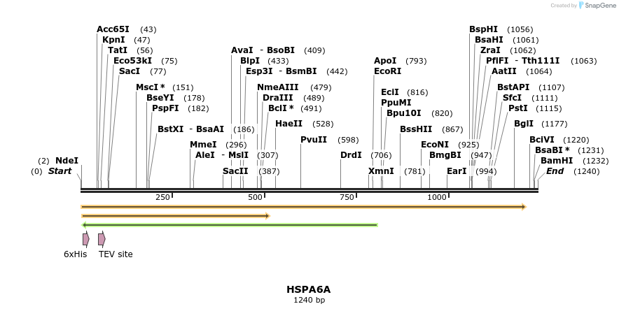 57254_map