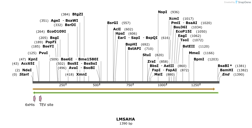 57260_map