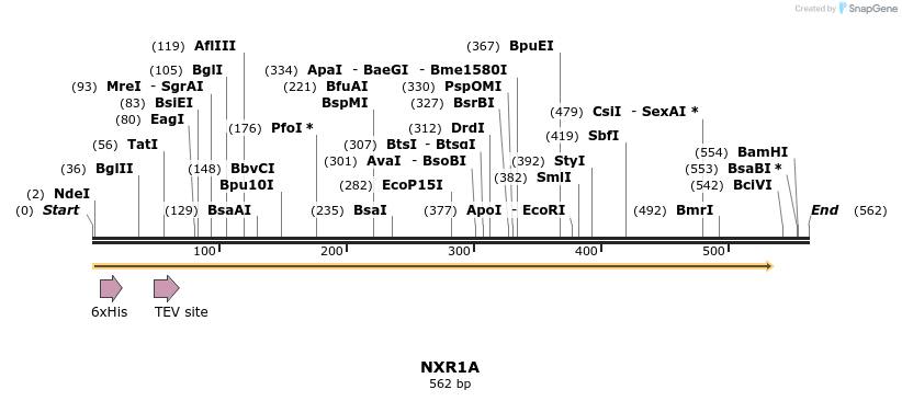 57262_map