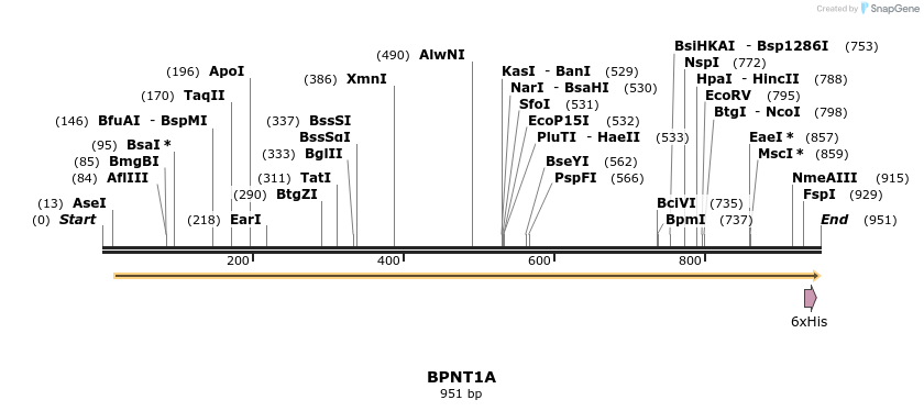 57264_map