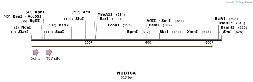 57267_map
