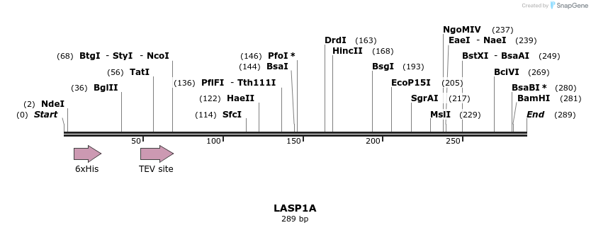 57272_map