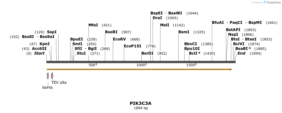 57276_map