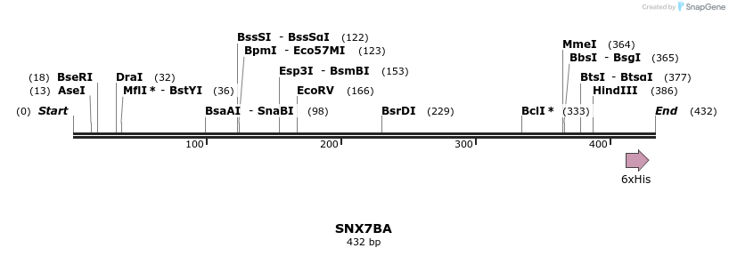 57277_map
