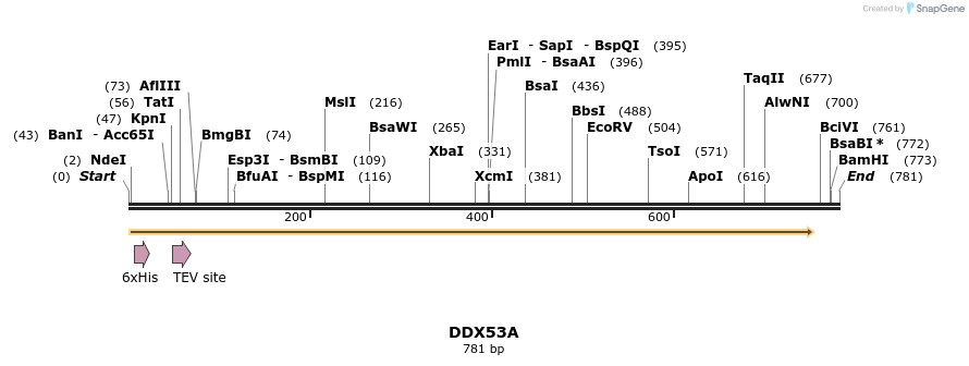 57278_map