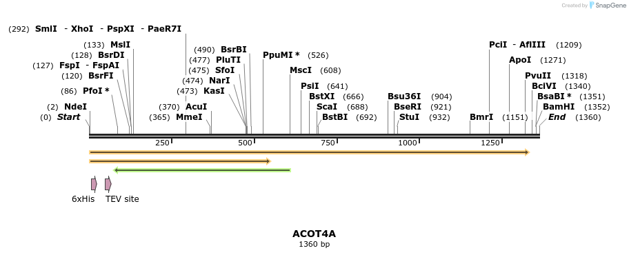57281_map