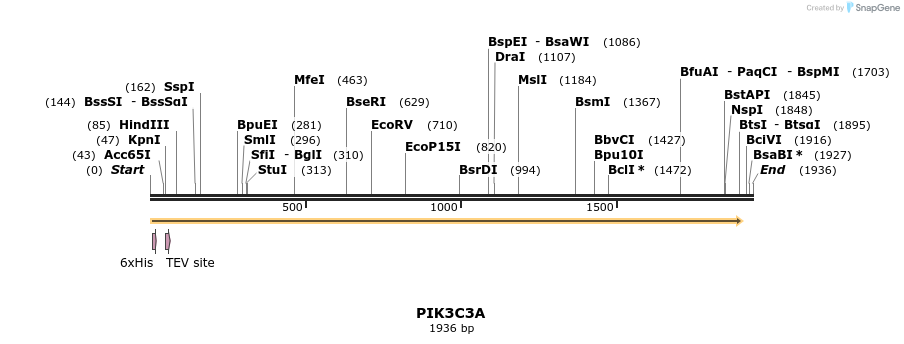 57290_map