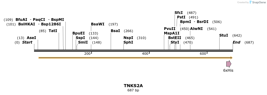 57295_map