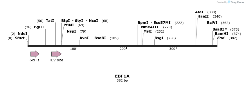 57296_map