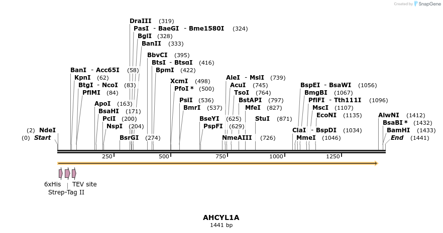 57297_map
