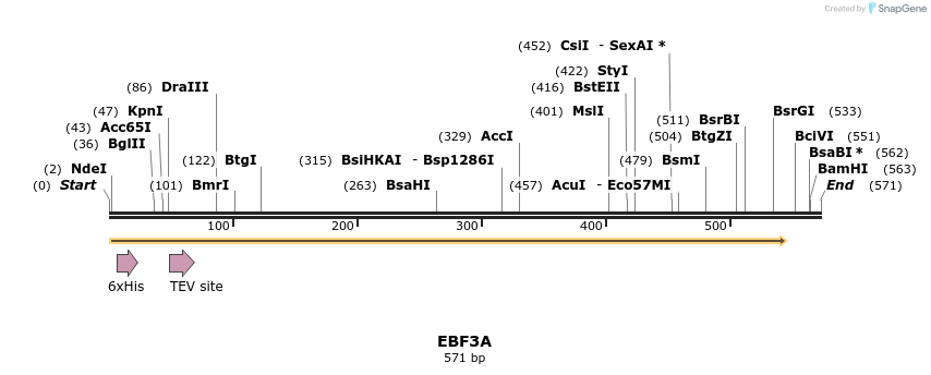 57300_map
