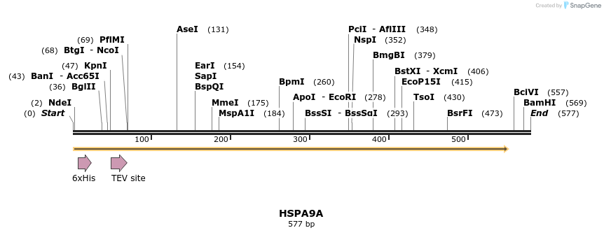 57301_map