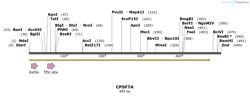 57302_map