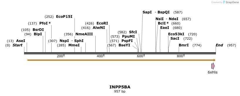 57303_map