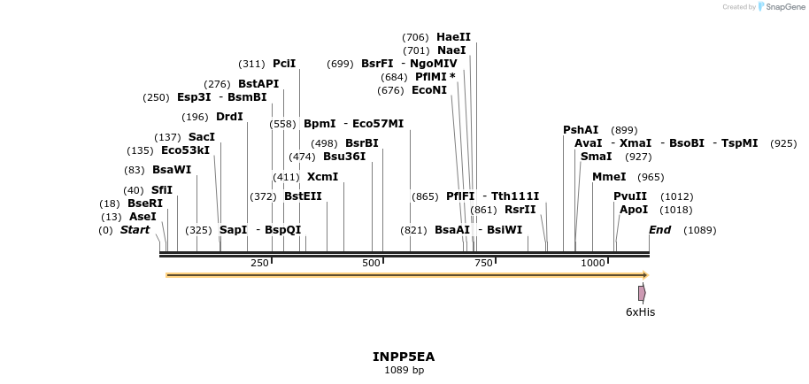 57310_map
