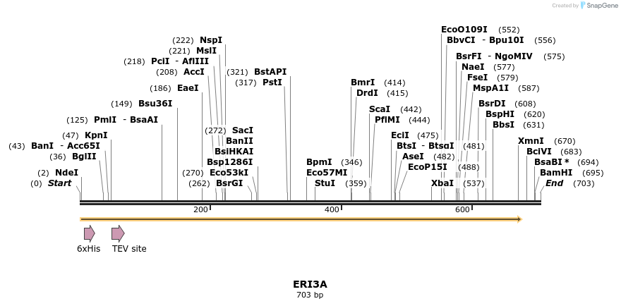 57311_map