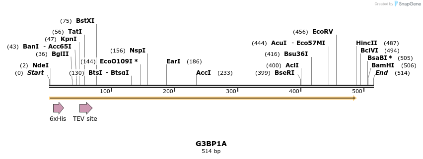 57312_map