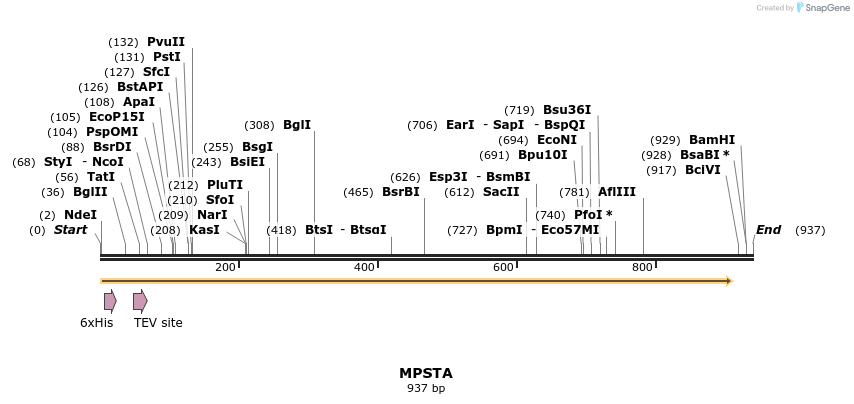 57314_map