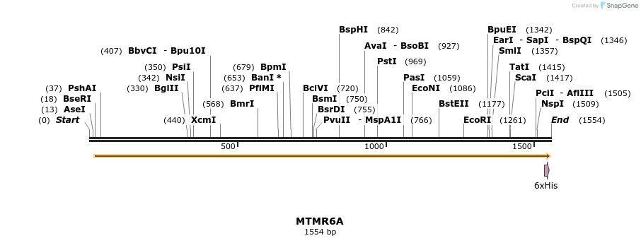 57315_map