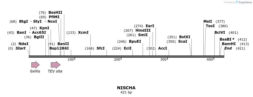 57316_map