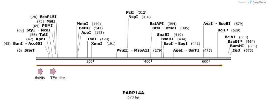 57319_map