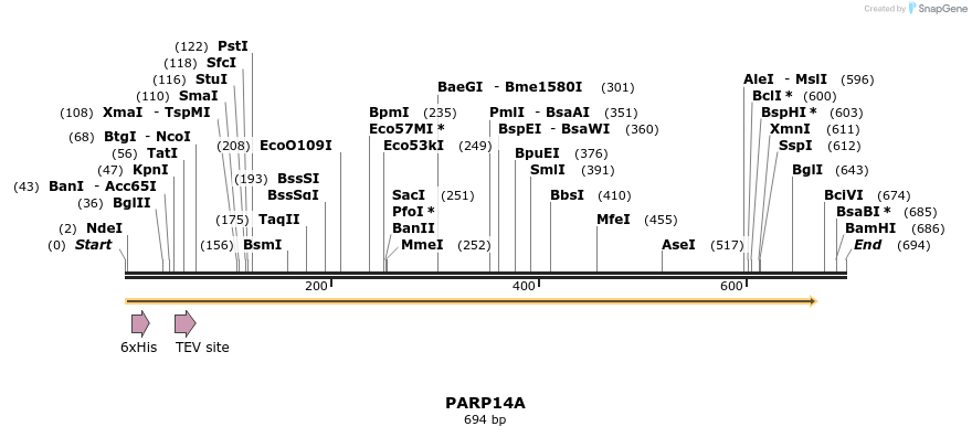 57320_map
