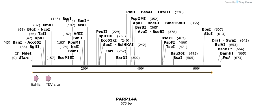 57321_map