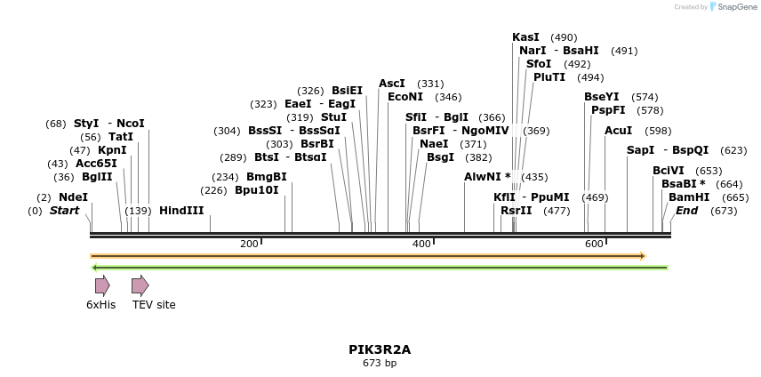 57322_map