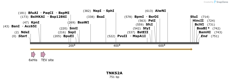 57323_map