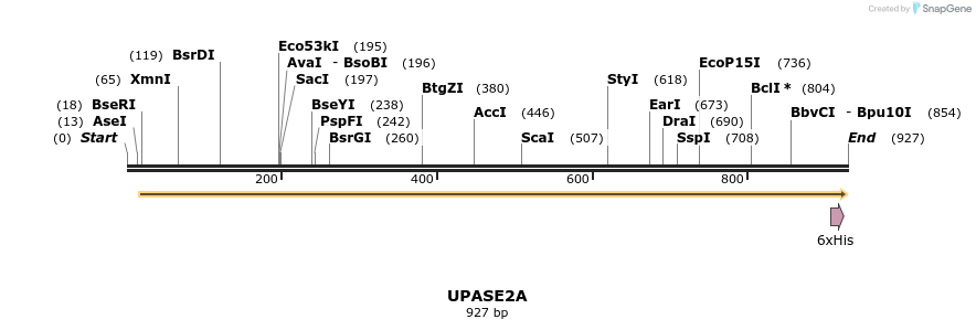 57324_map