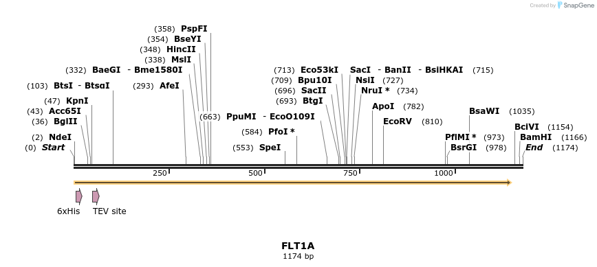 57325_map