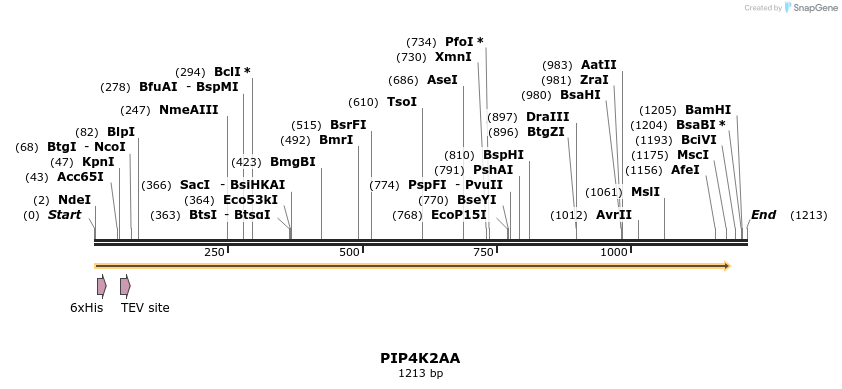 57326_map