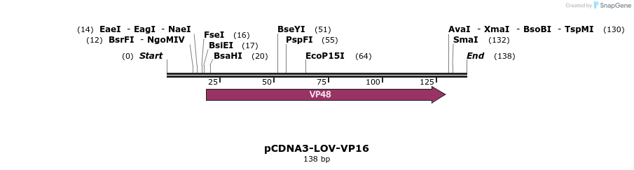 57338_map