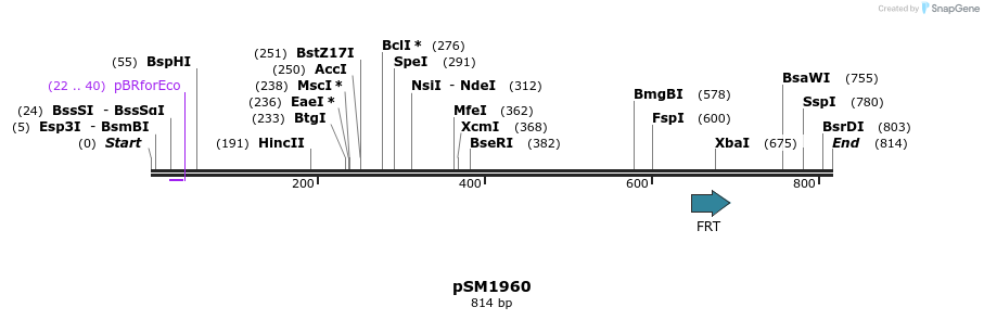 57357_map
