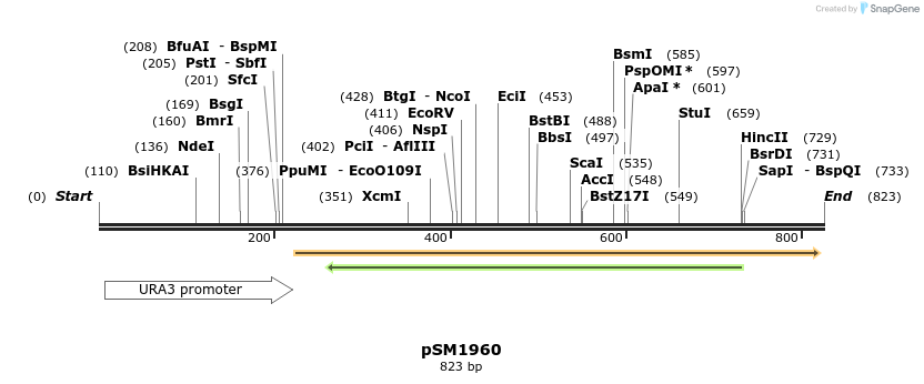 57361_map