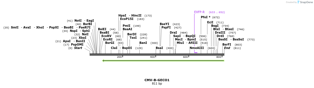 57362_map