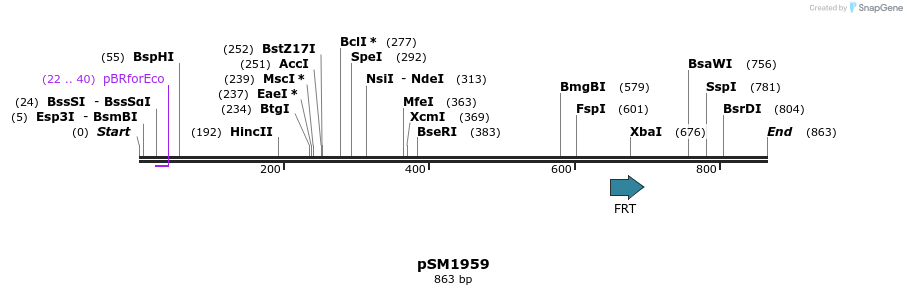 57363_map