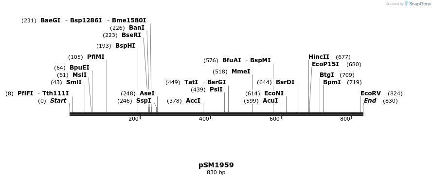 57364_map